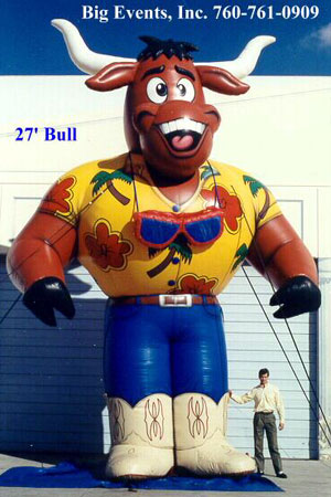 27' Bull 