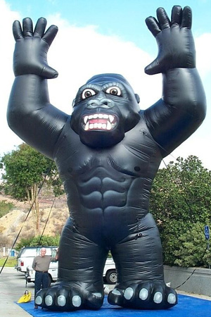 30' Kong