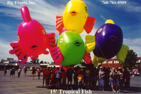 15' Tropical Fish