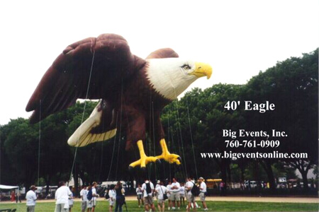 40' Eagle 