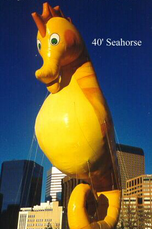 40' Seahorse